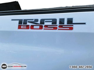 2019 Chevrolet Silverado 1500 in Granby, Quebec - 19 - w320h240px