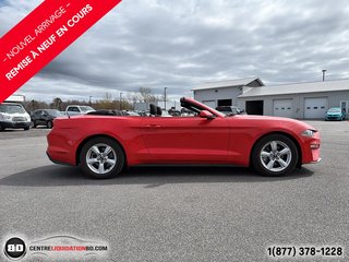 Ford Mustang BAS KM 2018 à Granby, Québec - 5 - w320h240px