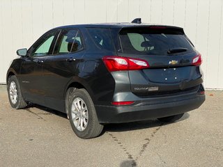 2019 Chevrolet Equinox LS | Cam | USB | HtdSeats | Bluetooth | Keyless in Saint John, New Brunswick - 5 - w320h240px