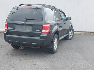 2009 Ford Escape in Antigonish, Nova Scotia - 3 - w320h240px