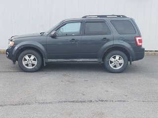 Ford Escape XLT | XM | Rails | Cruise | CD | Aux | PwrWindows 2009 à Saint John, Nouveau-Brunswick - 6 - w320h240px