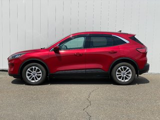 2021 Ford Escape in Antigonish, Nova Scotia - 4 - w320h240px