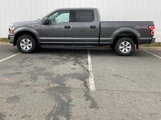 2019 Ford F-150 BASE | Cam | USB | A/C | AM/FM in Saint John, New Brunswick - 4 - w320h240px