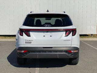 2023 Hyundai Tucson Hybrid LUXURY | Leather | Roof | Cam | Warranty to 2028 in Saint John, New Brunswick - 6 - w320h240px