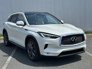 2021 Infiniti QX50 in Antigonish, Nova Scotia - 3 - w320h240px