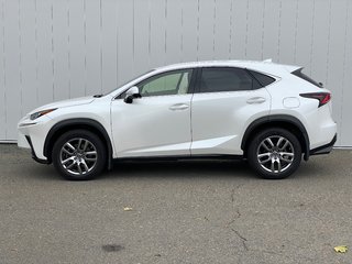 2019 Lexus NX 300 | Leather | Cam | USB | Keyless | AdpCruise in Saint John, New Brunswick - 4 - w320h240px