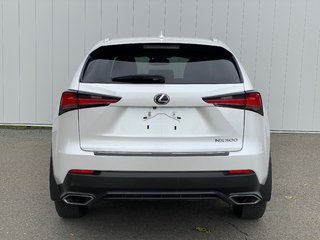 2019 Lexus NX 300 | Leather | Cam | USB | Keyless | AdpCruise in Saint John, New Brunswick - 6 - w320h240px