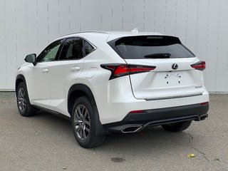 2019 Lexus NX 300 | Leather | Cam | USB | Keyless | AdpCruise in Saint John, New Brunswick - 5 - w320h240px