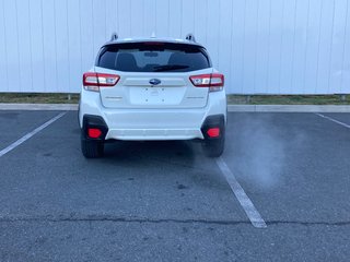 2019 Subaru CROSSTREK BASE | SUNROOF | HTD SEATS | AWD in Saint John, New Brunswick - 5 - w320h240px