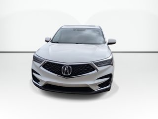 2019 Acura RDX in Antigonish, Nova Scotia - 2 - w320h240px