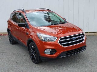 2019 Ford Escape SE | Cam | USB | Heated Seats