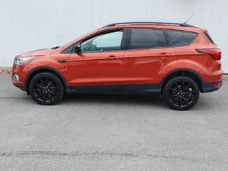 2019 Ford Escape SE | Cam | USB | Heated Seats in Saint John, New Brunswick - 6 - w320h240px