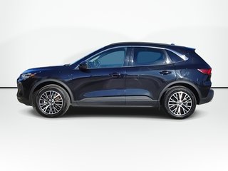 Ford Escape PLUG IN HYBRID | Cam | USB | Warranty to 2032 2024 à Saint John, Nouveau-Brunswick - 5 - w320h240px