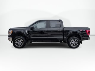 Ford F-150 XLT | Aftermarket Wheels | Cam | USB 2022 à Saint John, Nouveau-Brunswick - 5 - w320h240px