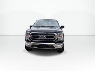 Ford F-150 XLT | Aftermarket Wheels | Cam | USB 2022 à Saint John, Nouveau-Brunswick - 3 - w320h240px