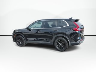 2024 Honda CR-V Hybrid EX-L | Leather | Sunroof | Cam | Warranty to 2028 in Saint John, New Brunswick - 6 - w320h240px