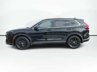2024 Honda CR-V Hybrid EX-L | Leather | Sunroof | Cam | Warranty to 2028 in Saint John, New Brunswick - 5 - w320h240px