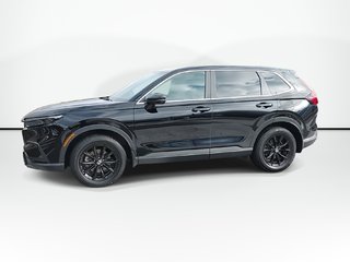 2024 Honda CR-V Hybrid EX-L | Leather | Sunroof | Cam | Warranty to 2028 in Saint John, New Brunswick - 4 - w320h240px