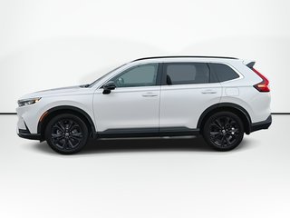 2024 Honda CR-V Hybrid Touring | Roof | BOSE | Cam | Warranty to 2029 in Saint John, New Brunswick - 5 - w320h240px