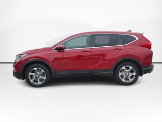 2019 Honda CR-V EX-L | Leather | Roof | Cam | USB in Saint John, New Brunswick - 5 - w320h240px