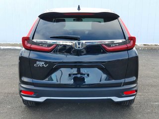 2020 Honda CR-V LX | Cam | USB | HtdSeats | FREE 100K Warranty in Saint John, New Brunswick - 4 - w320h240px