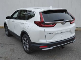 2020 Honda CR-V LX | Heated Seats | Cam | USB in Saint John, New Brunswick - 5 - w320h240px