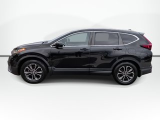 2020 Honda CR-V EX-L | Sunroof | Leather | Cam in Saint John, New Brunswick - 5 - w320h240px