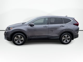 2020 Honda CR-V LX | Cam | USB | HtdSeats | Warranty to 2027 in Saint John, New Brunswick - 5 - w320h240px