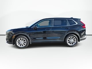 2023 Honda CR-V in Antigonish, Nova Scotia - 5 - w320h240px