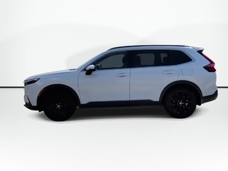 2023 Honda CR-V in Antigonish, Nova Scotia - 5 - w320h240px