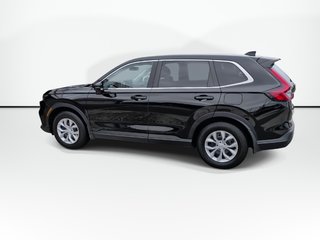2024 Honda CR-V LX-B | Htd Seat | Cam | USB | Warranty to 2028 in Saint John, New Brunswick - 6 - w320h240px