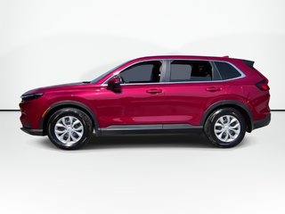 2025 Honda CR-V LX | Cam | USB | Heated Seats | Warranty to 2029 in Saint John, New Brunswick - 5 - w320h240px