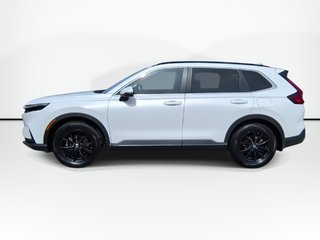 2025 Honda CR-V Sport | Sunroof | Cam | USB | Warranty to 2029 in Saint John, New Brunswick - 5 - w320h240px