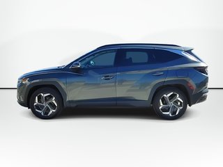 2023 Hyundai Tucson Plug-In Hybrid Ultimate | Leather | Moonroof | Warranty to 2028 in Saint John, New Brunswick - 5 - w320h240px
