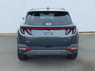 2024 Hyundai Tucson in Antigonish, Nova Scotia - 4 - w320h240px
