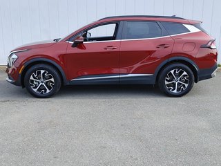 2024 Kia Sportage EX Premium | Lthr | Roof | Cam | Warranty to 2029 in Saint John, New Brunswick - 6 - w320h240px