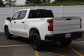 Chevrolet Silverado 1500 Custom Trail Boss | Cam | USB | Bluetooth | XM 2022 à Saint John, Nouveau-Brunswick - 5 - w320h240px