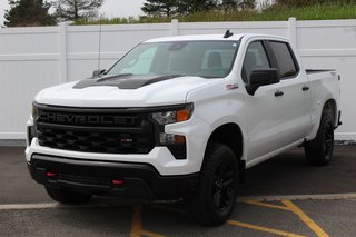 Chevrolet Silverado 1500 Custom Trail Boss | Cam | USB | Bluetooth | XM 2022 à Saint John, Nouveau-Brunswick - 3 - w320h240px
