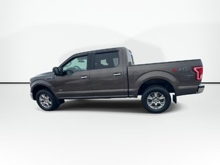 2015 Ford F-150 in Antigonish, Nova Scotia - 5 - w320h240px