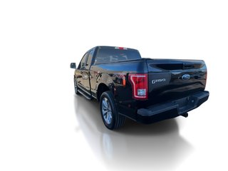 Ford F-150 SXT | Cam | PwrSeat | Cruise | AC | Aux | USB 2017 à Saint John, Nouveau-Brunswick - 6 - w320h240px