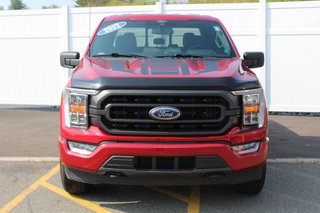 Ford F-150 XLT FX4 | Lthr | Cam | TowPckge | Warranty to 2027 2022 à Saint John, Nouveau-Brunswick - 2 - w320h240px