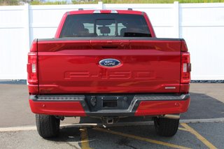 Ford F-150 XLT FX4 | Lthr | Cam | TowPckge | Warranty to 2027 2022 à Saint John, Nouveau-Brunswick - 6 - w320h240px