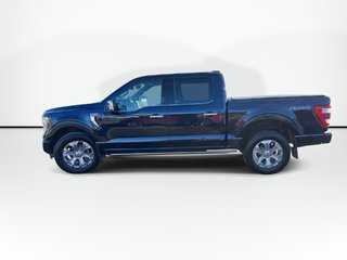 2022 Ford F-150 Platinum | Roof | Lthr | Cam | Warranty to 2027 in Saint John, New Brunswick - 4 - w320h240px