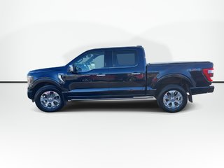 2022 Ford F-150 Platinum | Roof | Lthr | Cam | Warranty to 2027 in Saint John, New Brunswick - 4 - w320h240px