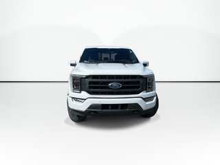 2022 Ford F-150 in Antigonish, Nova Scotia - 5 - w320h240px