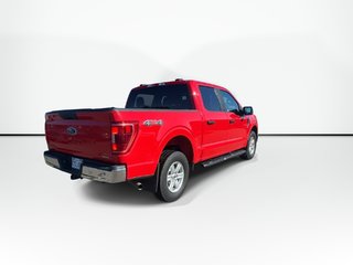 2022 Ford F-150 in Antigonish, Nova Scotia - 2 - w320h240px