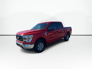 2022 Ford F-150 in Antigonish, Nova Scotia - 6 - w320h240px