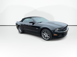 2014 Ford Mustang GT Convertible | Manual | 5L V8 | Leather | HtdSts in Saint John, New Brunswick - 4 - w320h240px