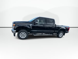 2022 Ford SUPER DUTY F-250 SRW in Antigonish, Nova Scotia - 4 - w320h240px