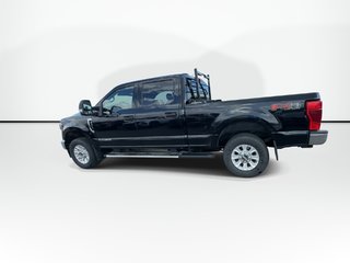 2022 Ford SUPER DUTY F-250 SRW in Antigonish, Nova Scotia - 5 - w320h240px